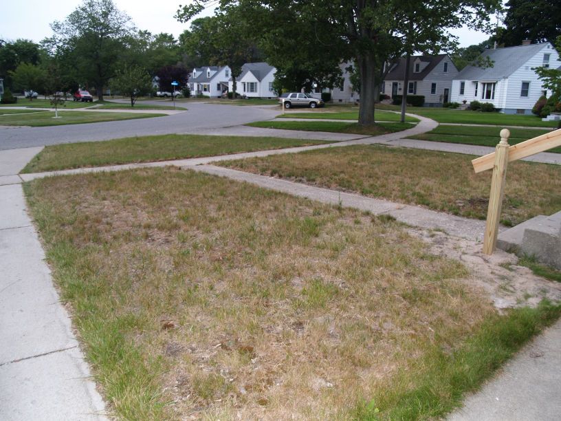 Just Getting Started... front yard.jpg